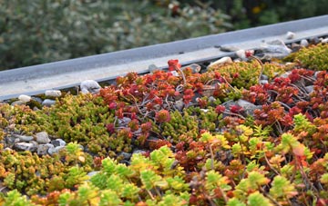the cost of Sutton On Trent green roof installation